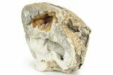 Agatized Fossil Coral - Florida #188034-3
